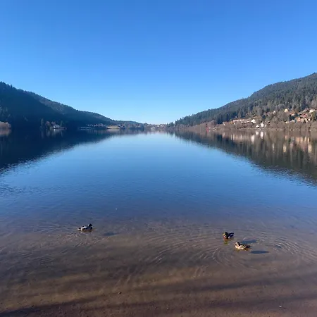 Appartement La Résidence Des Feutres App3 Au Rdc *