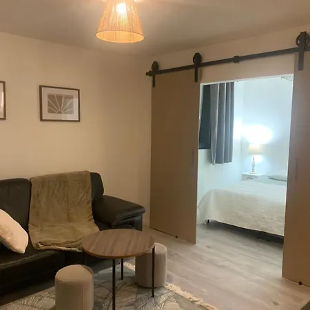 Lumineux 60 M2 Avec Grand Balcon Plein Sud A Apartament Gérardmer