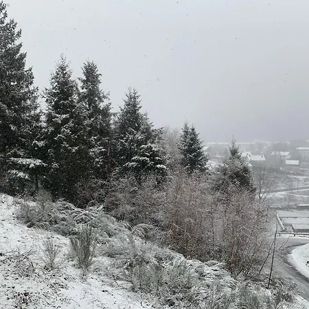 Appartement La Résidence Des Feutres App3 Au Rdc