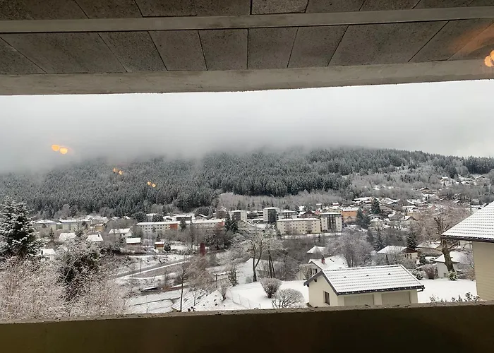 La Des Feutres App3 Au Rdc * Gérardmer